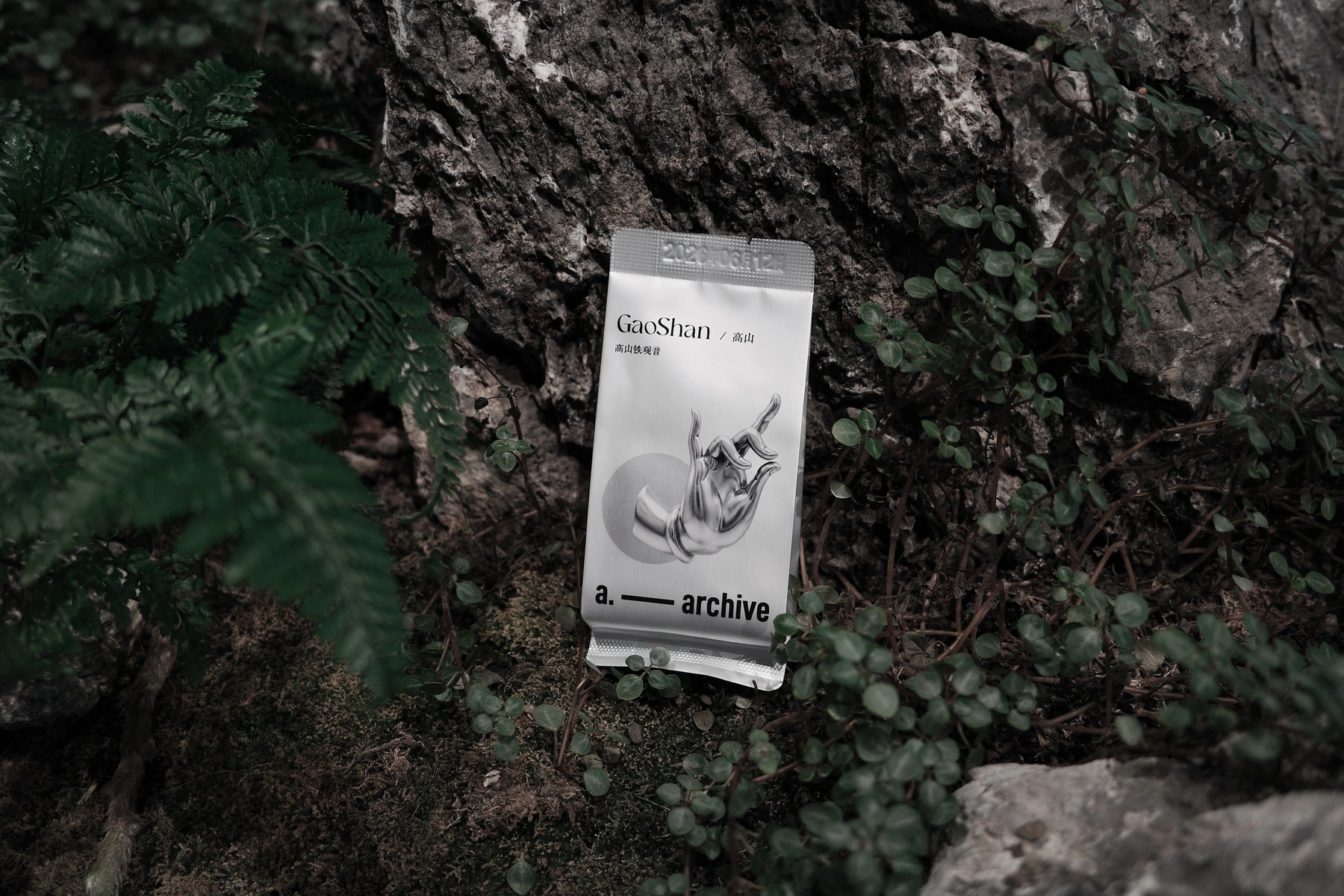 Project 06 cover